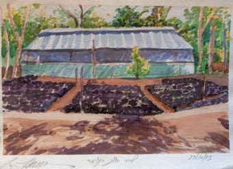 Greenhouse Greenhouse